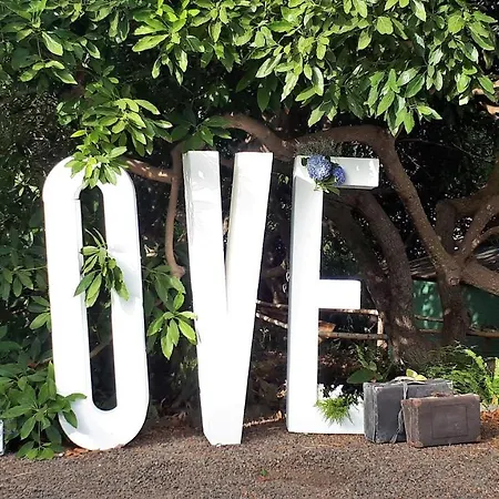 La Principal Breña Alta