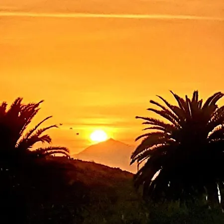 La Principal Breña Alta