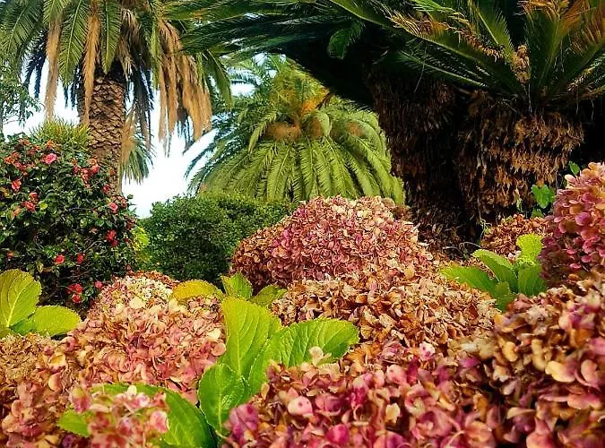 La Principal Alojamento de Turismo Rural