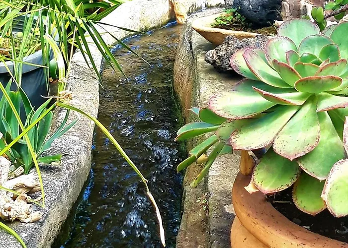 Alojamento de Turismo Rural La Principal