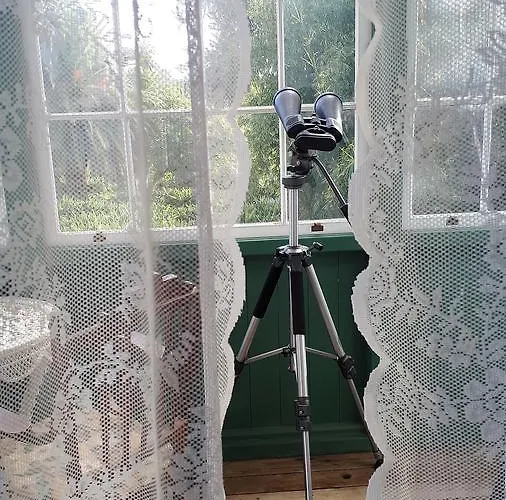 La Principal Alojamento de Turismo Rural Breña Alta