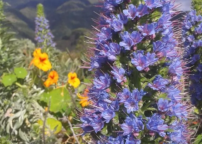 La Principal Alojamento de Turismo Rural