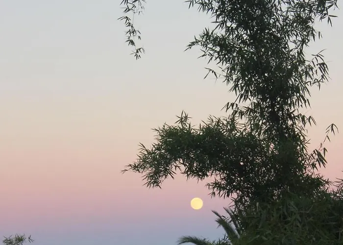 La Principal Alojamento de Turismo Rural *