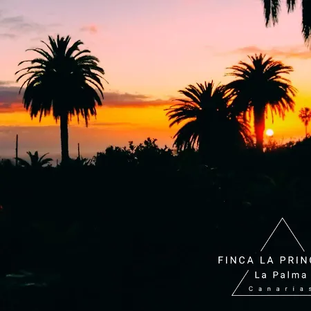 La Principal *