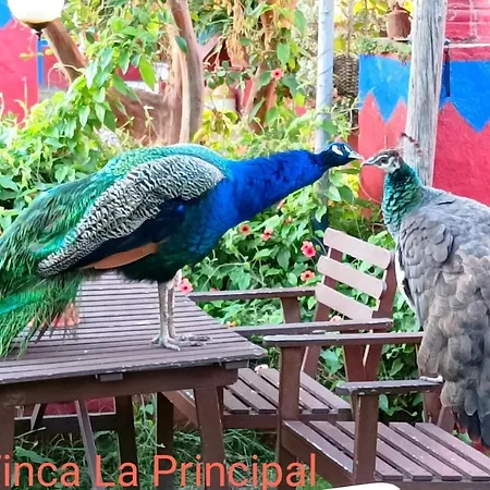 Farm stay La Principal *
