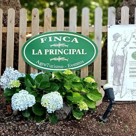 La Principal * Breña Alta