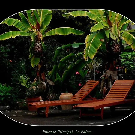 La Principal Vakantieboerderij Breña Alta
