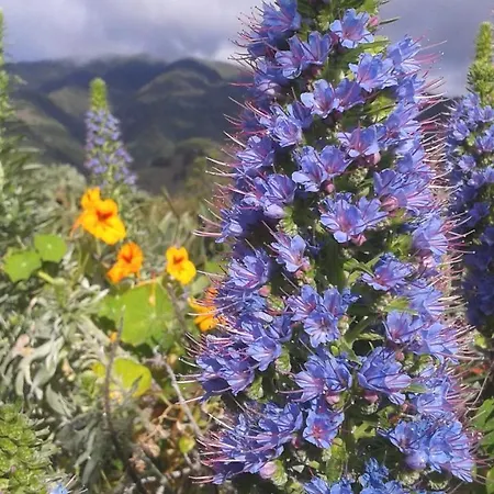La Principal Farm stay