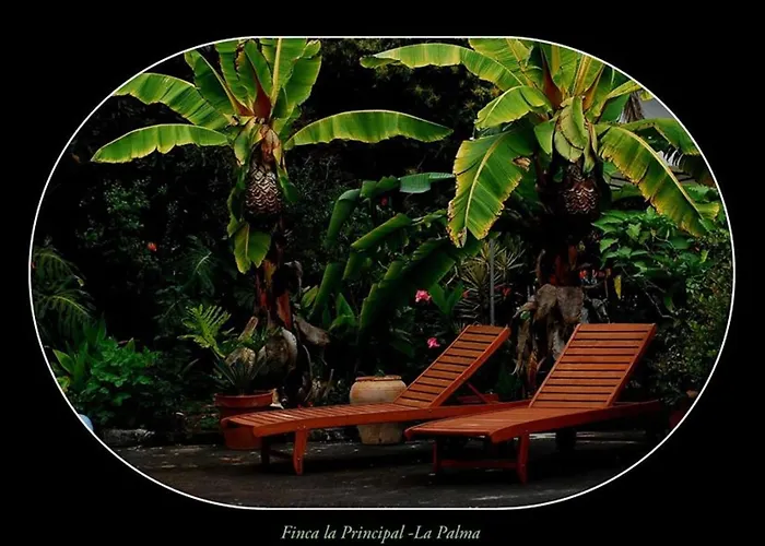 La Principal Agroturismo Breña Alta
